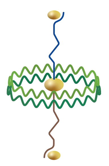 Logo von El'Amaraas